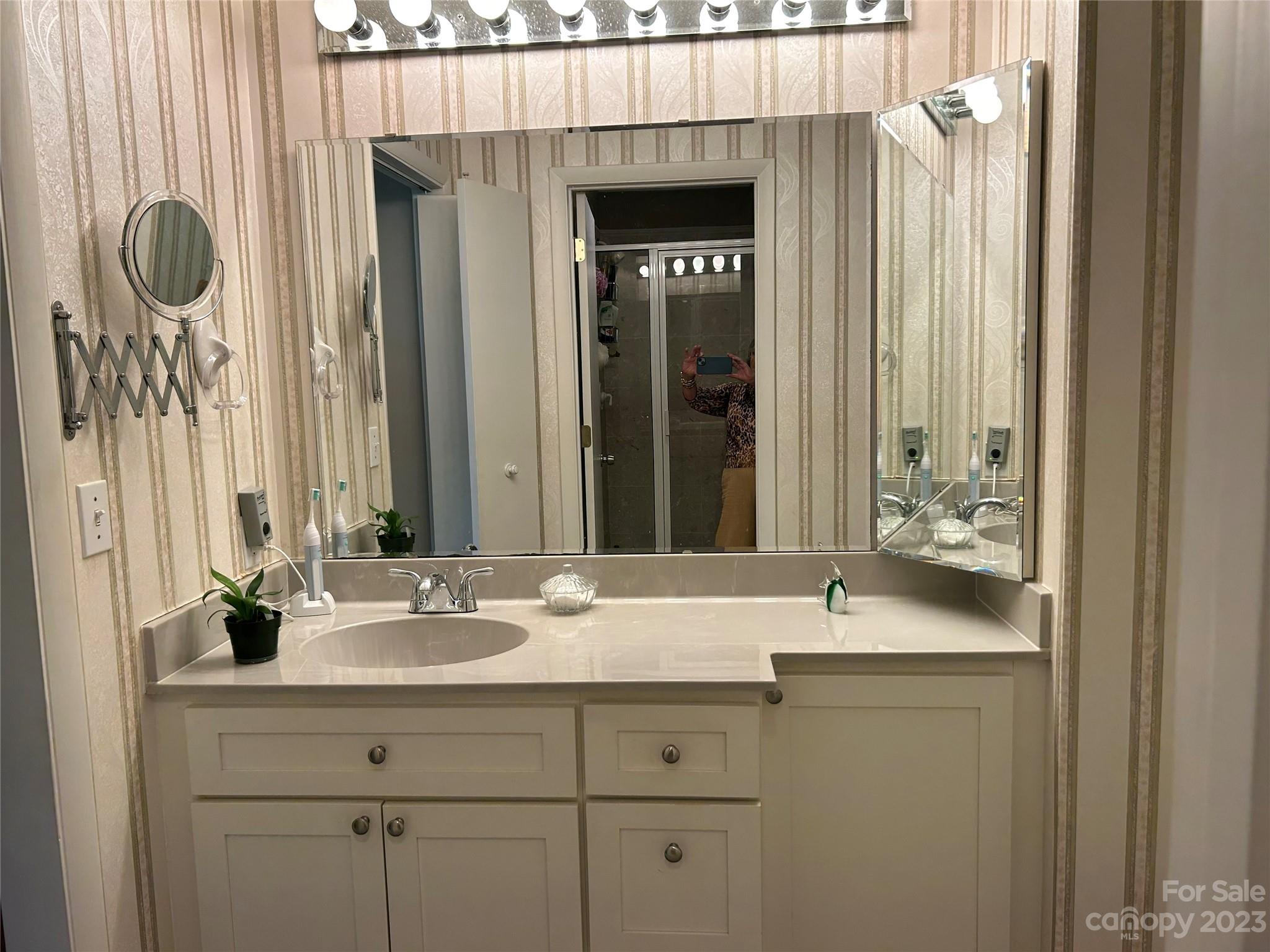 428 Brandon Road Hendersonville, NC 28739 - Photo 30 of 48 a bathroom with a sink and a mirror