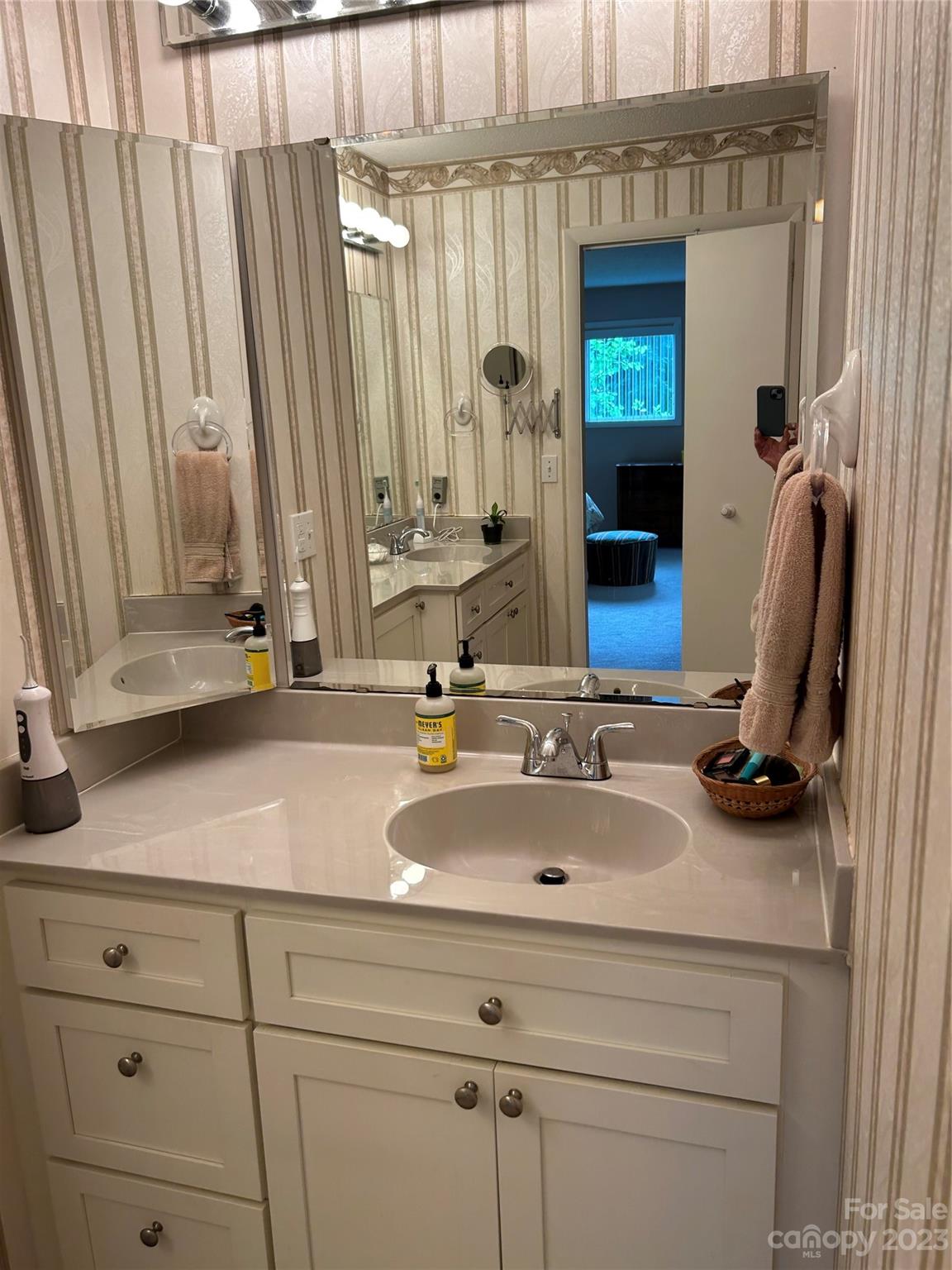 428 Brandon Road Hendersonville, NC 28739 - Photo 31 of 48 a bathroom with a sink and a mirror