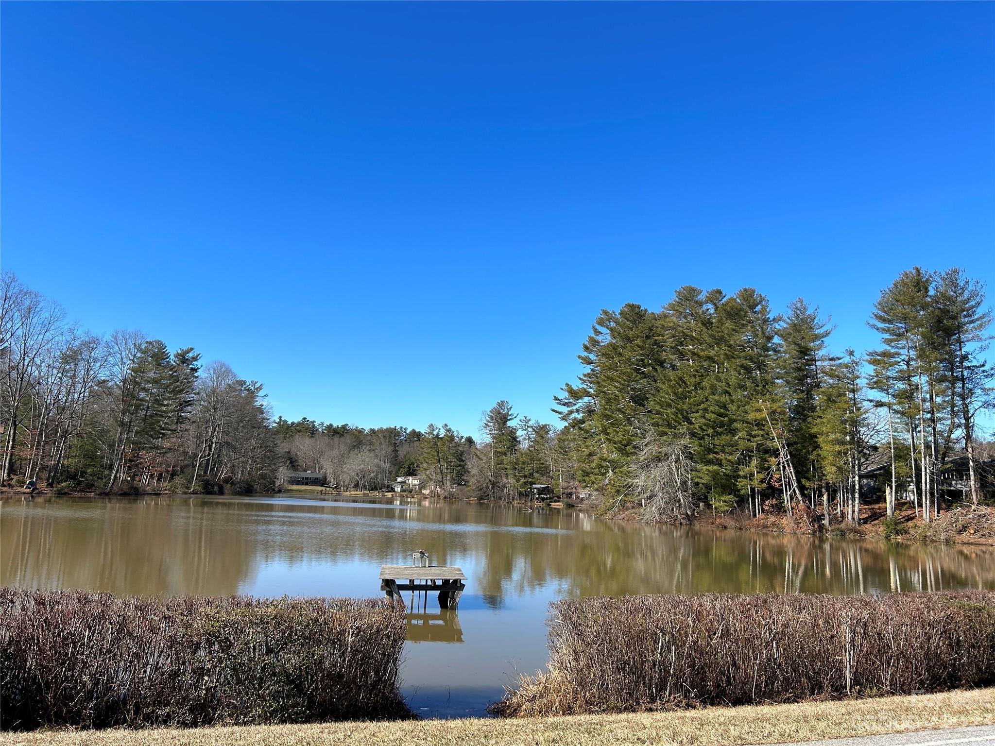 428 Brandon Road Hendersonville, NC 28739 - Photo 46 of 48 a view of lake