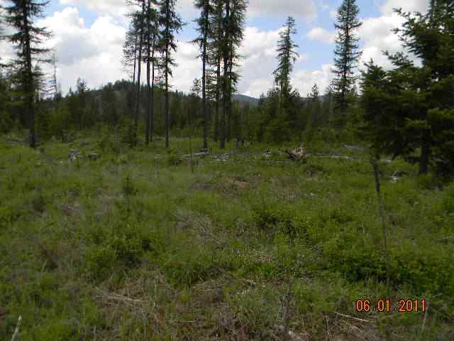A Deer Valley Road Newport, WA 99156 - Photo 3 of 5 Gallery Image 3