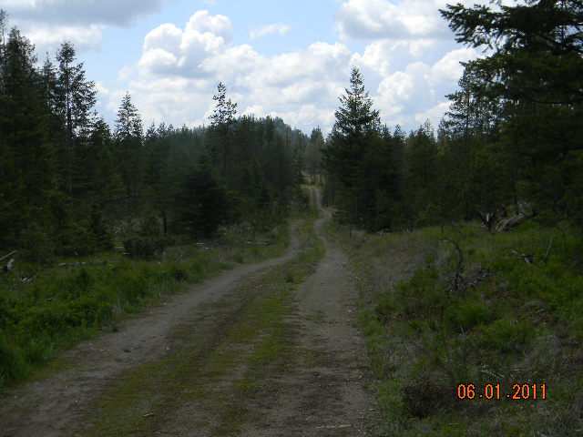 A Deer Valley Road Newport, WA 99156 - Photo 4 of 5 Gallery Image 4