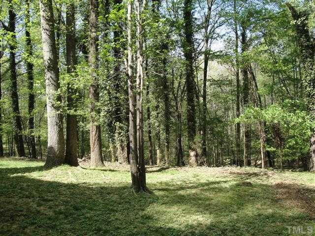 10209 Whitestone Road Raleigh, NC 27615 - Photo 11 of 25 Serene, wooded back yard