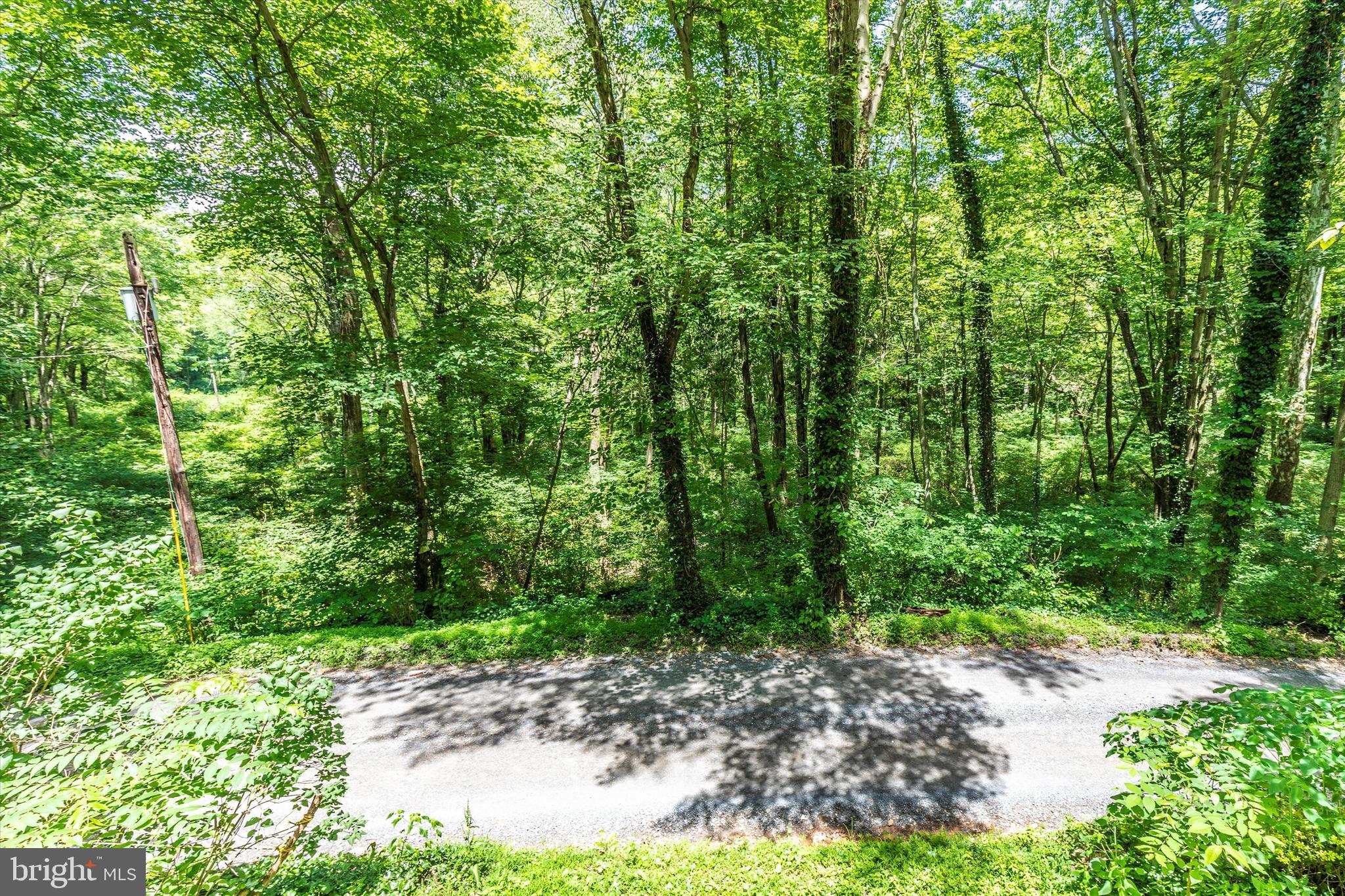 6300 Old Bohn Road Mount Airy, MD 21771 - Photo 41 of 45 a view of a yard with plants and large trees