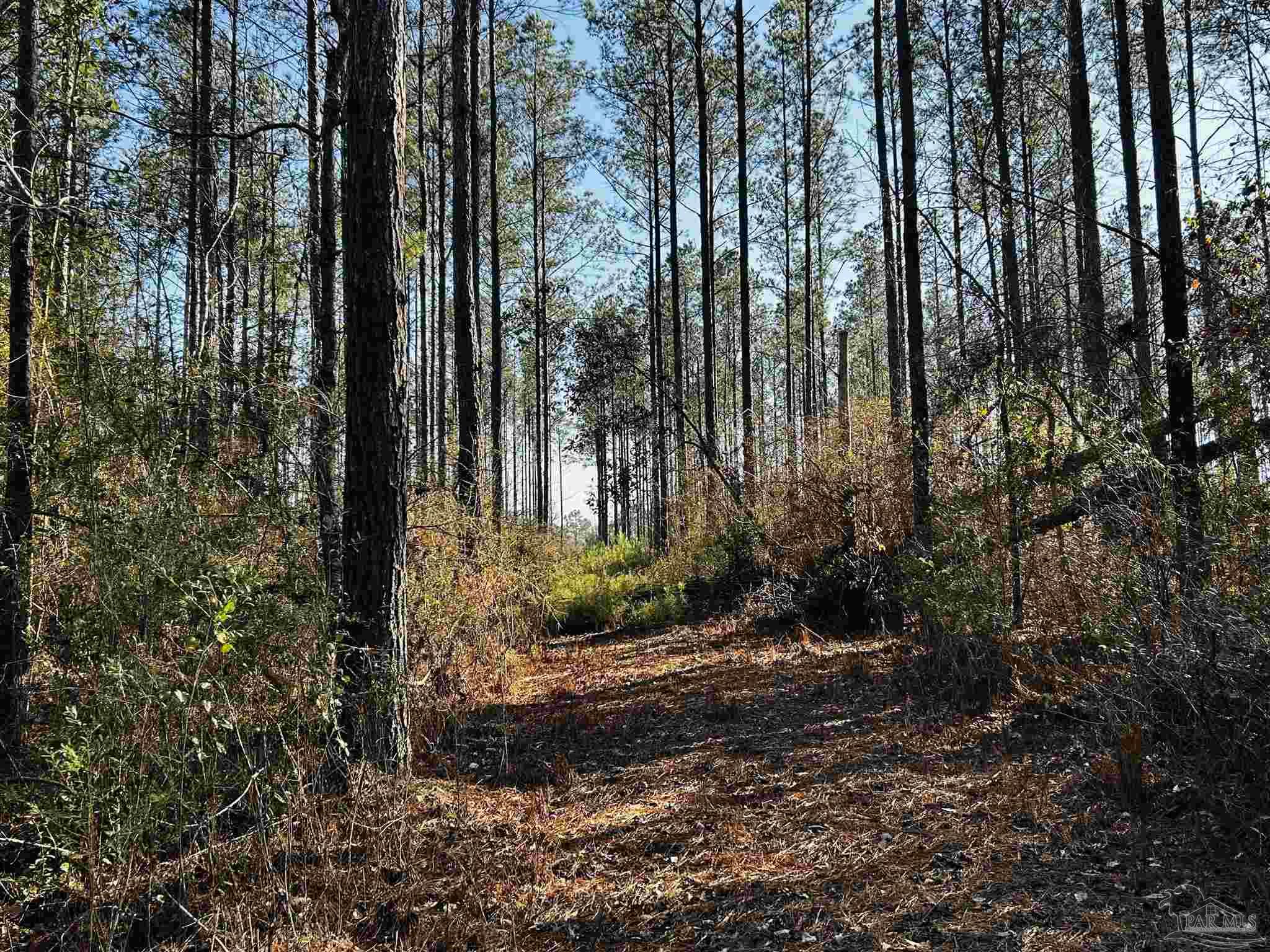 Lot 406 Country Mill Road Jay, FL 32565 - Photo 2 of 10