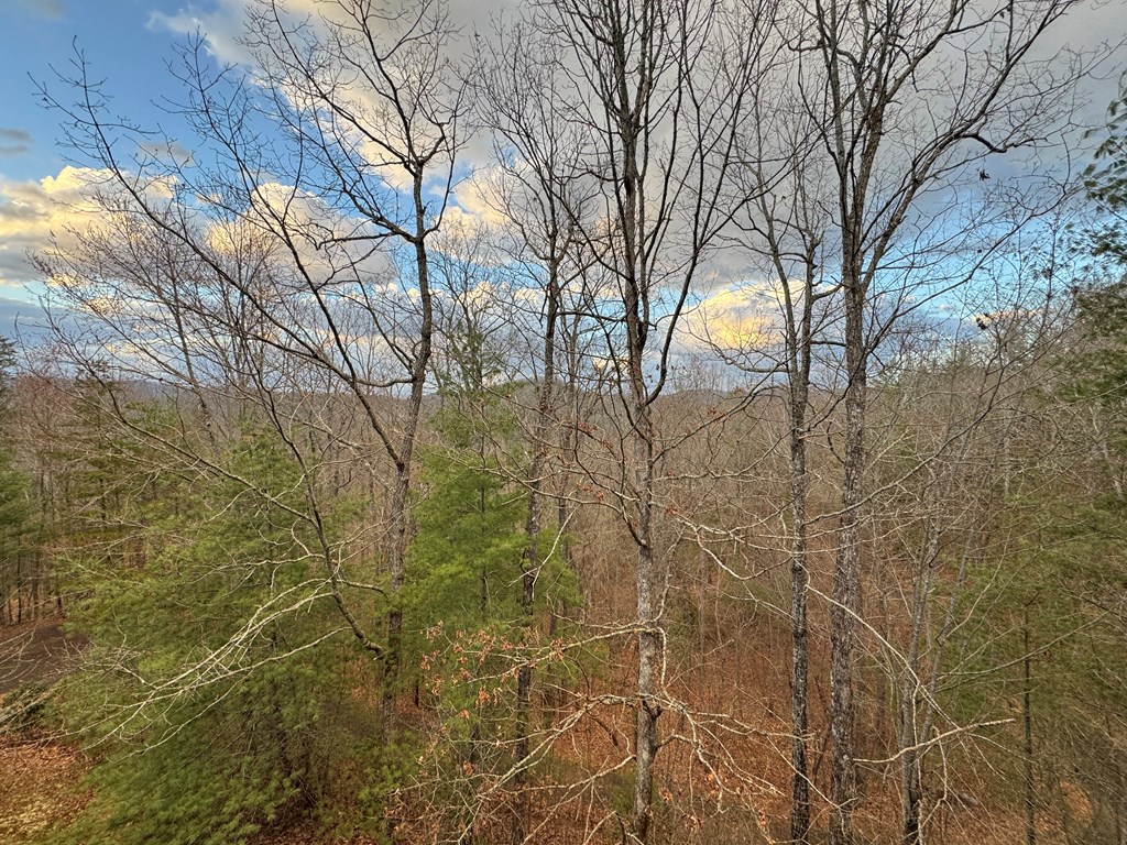 162 Toccoa Overlook Lane Blue Ridge, GA 30513 - Photo 37 of 39 a backyard of a building
