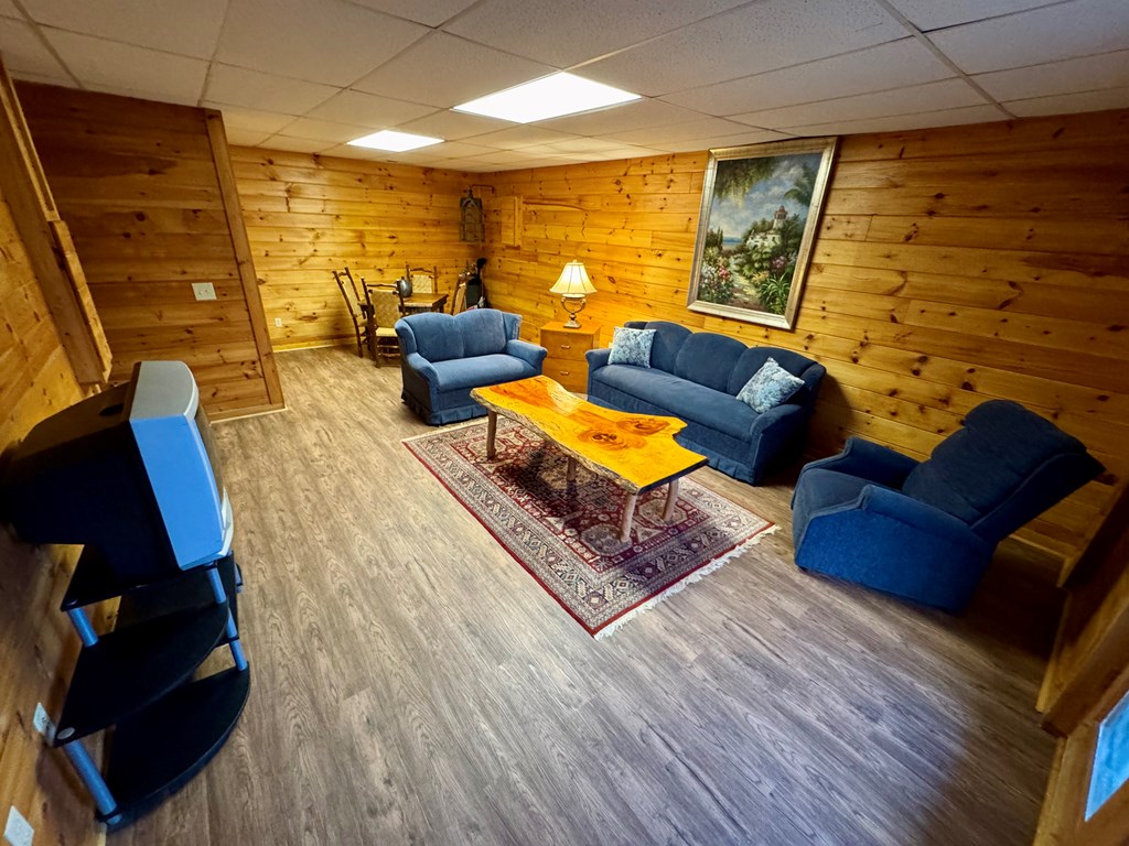 162 Toccoa Overlook Lane Blue Ridge, GA 30513 - Photo 39 of 39 a living room with furniture and a rug