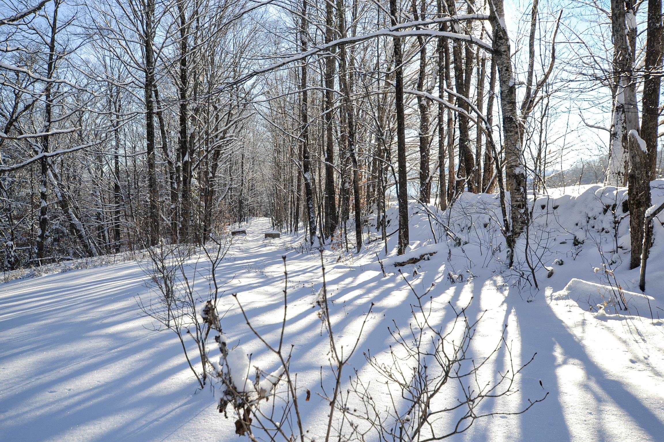 1851 Center Fayston Road Fayston, VT 05660 - Photo 49 of 60