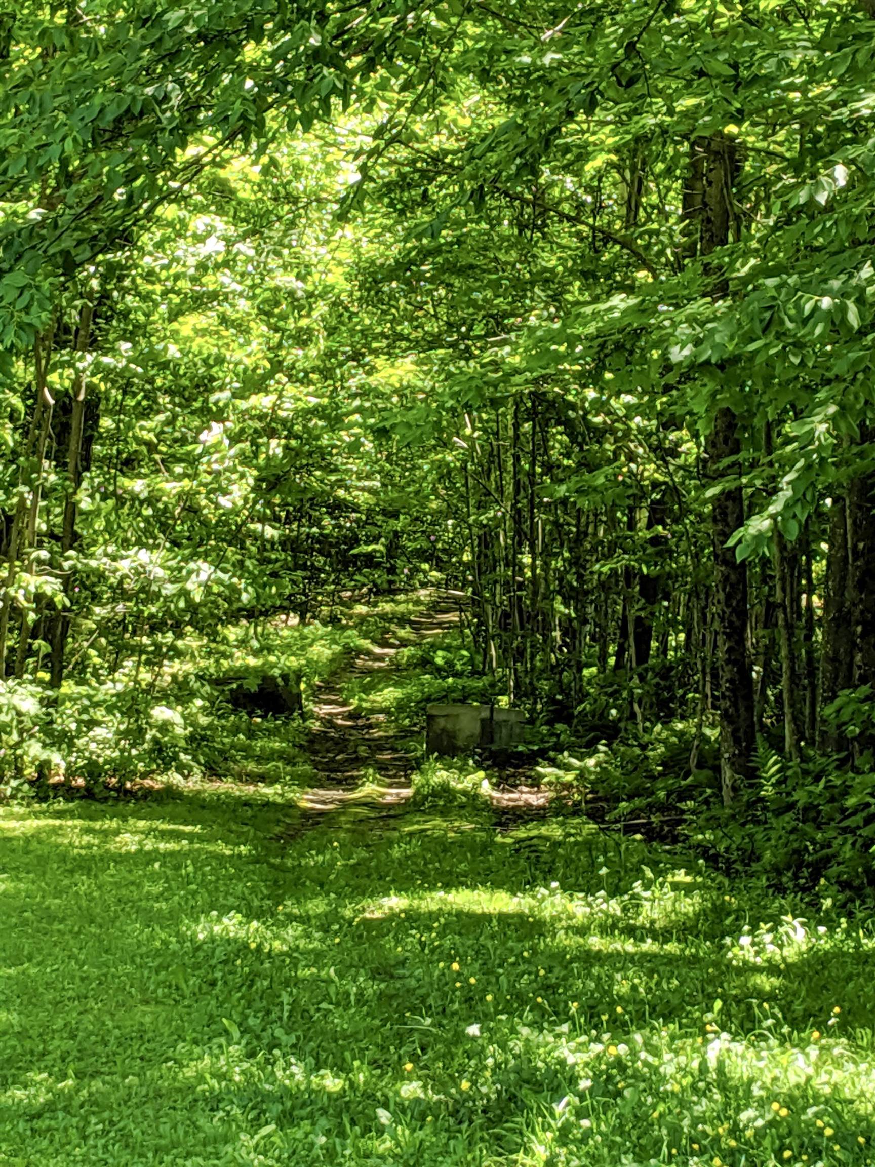 1851 Center Fayston Road Fayston, VT 05660 - Photo 50 of 60