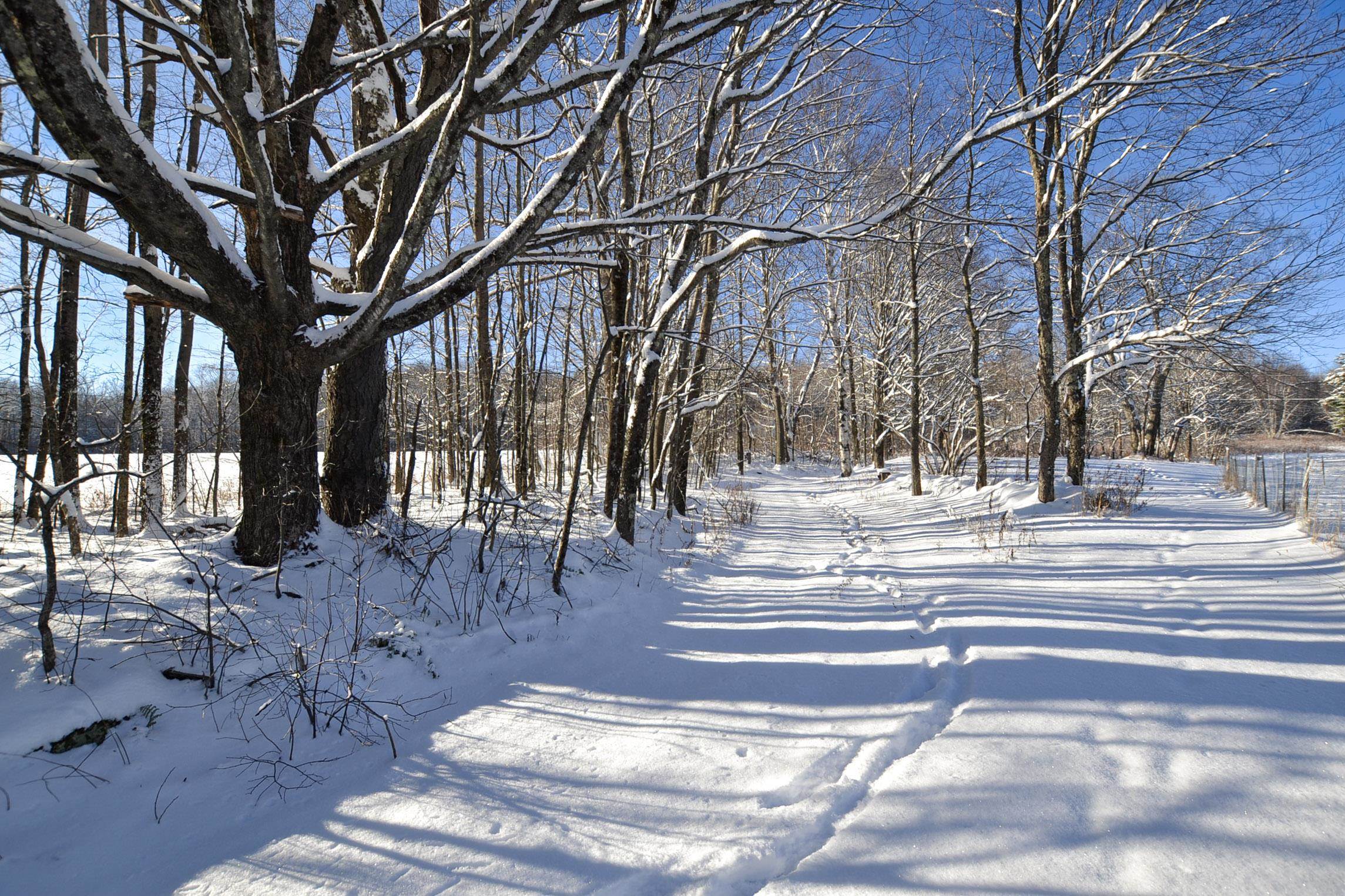 1851 Center Fayston Road Fayston, VT 05660 - Photo 51 of 60