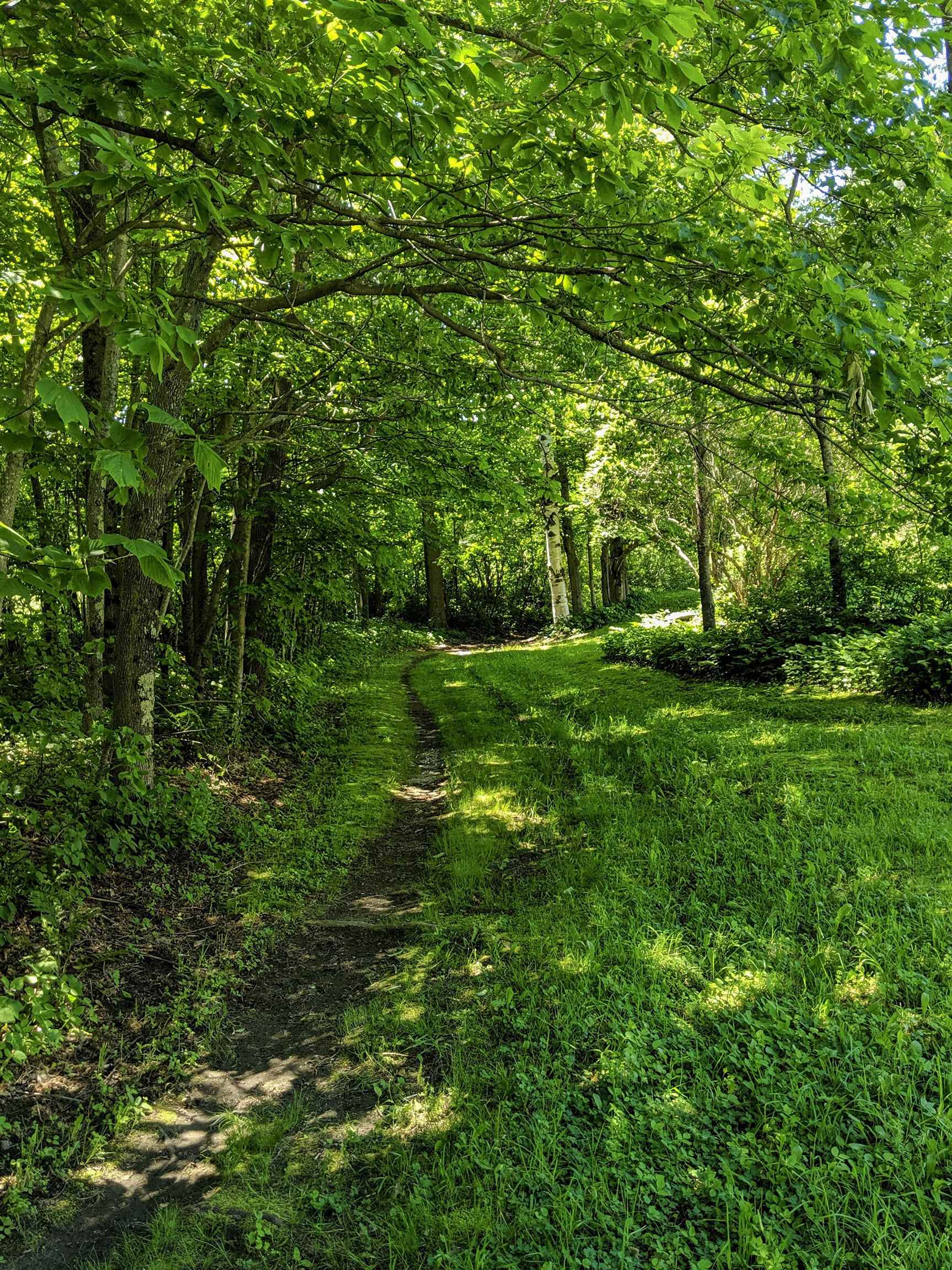 1851 Center Fayston Road Fayston, VT 05660 - Photo 52 of 60
