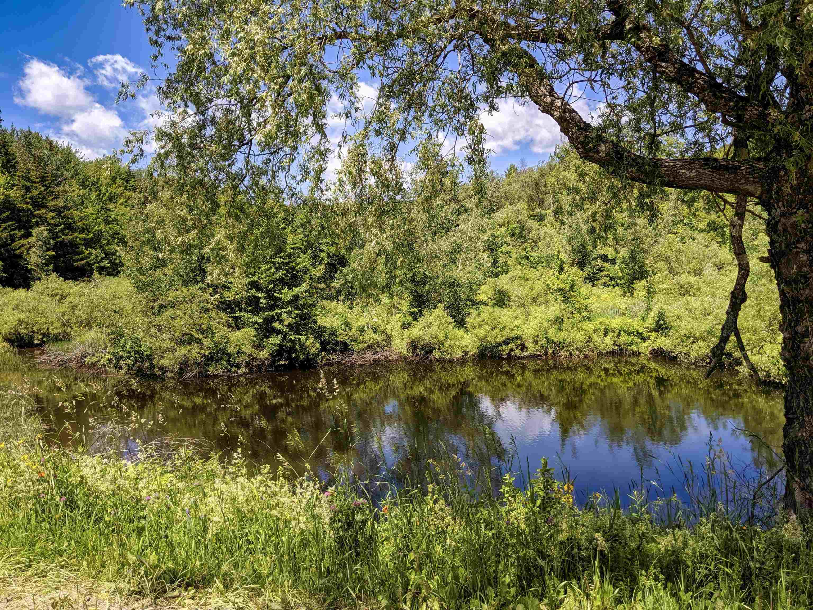 1851 Center Fayston Road Fayston, VT 05660 - Photo 60 of 60