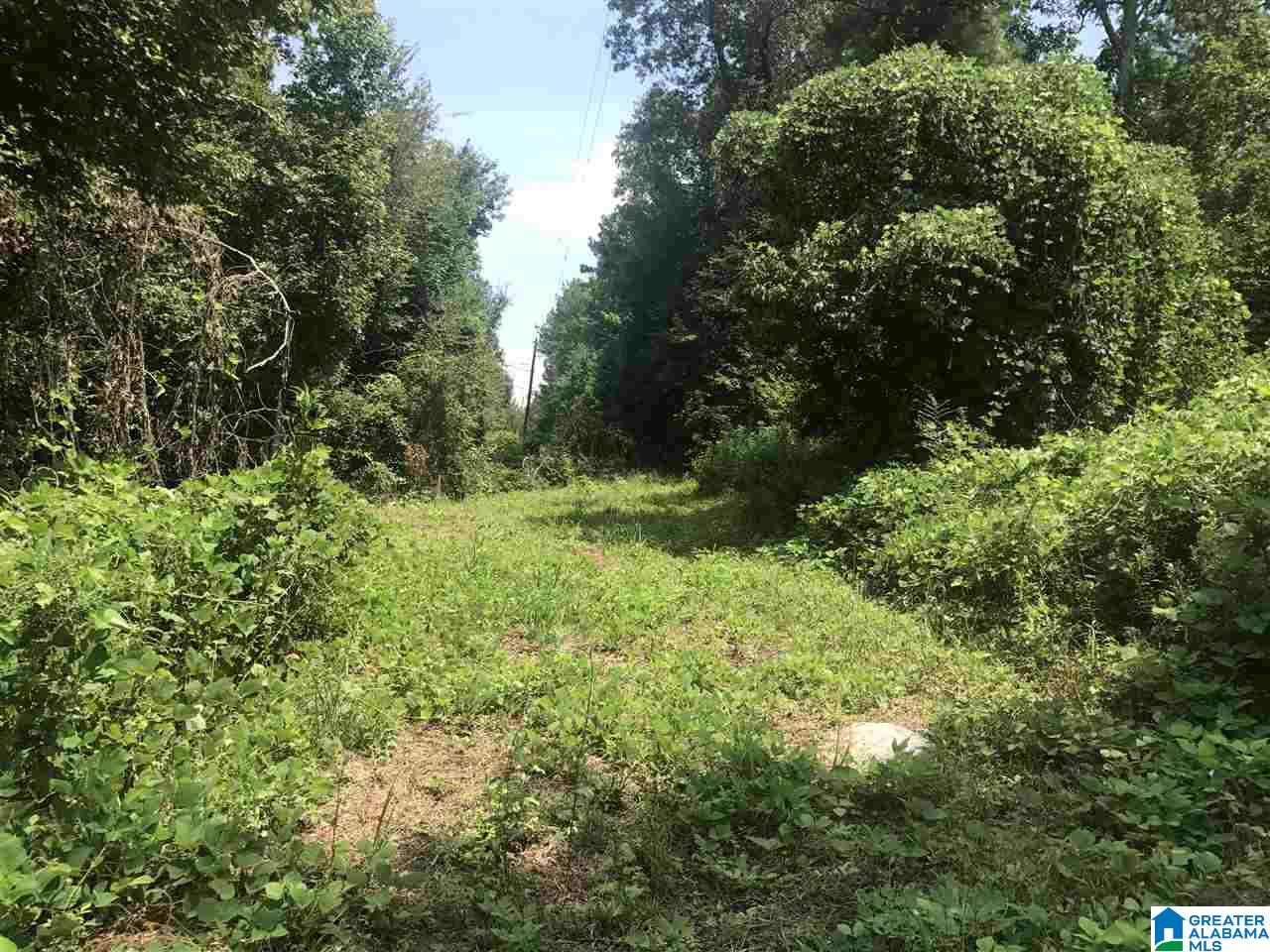 River Bend Road, Unit 4 Northport, AL 35475 - Photo 7 of 8