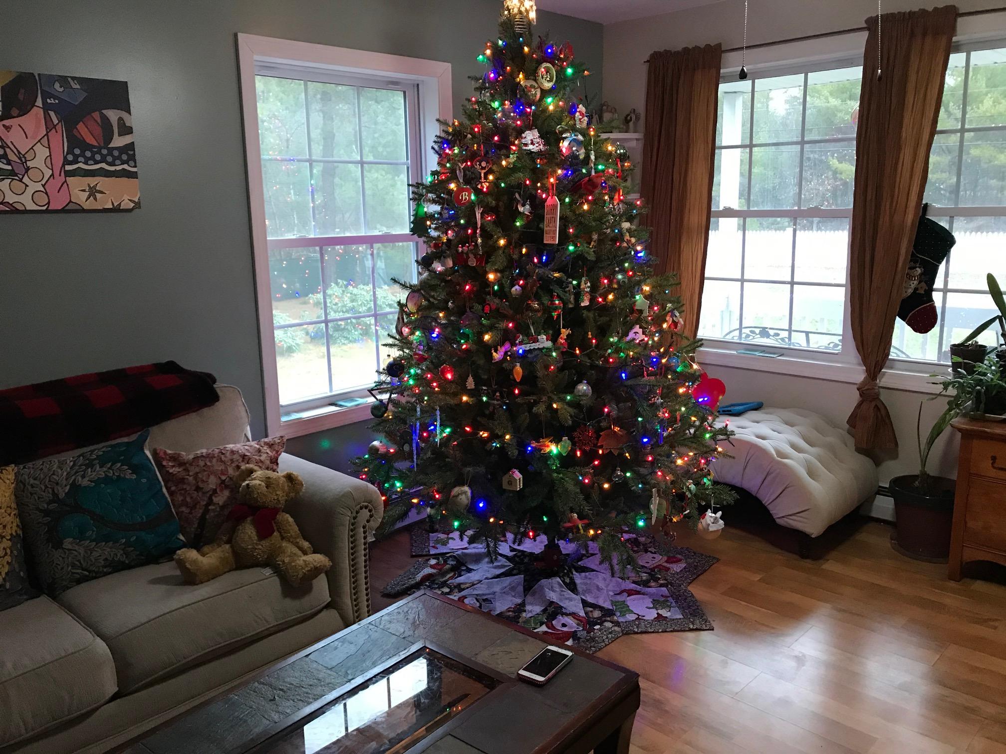 249 South Hiram Road Hiram, ME 04041 - Photo 11 of 31 IMG_4448