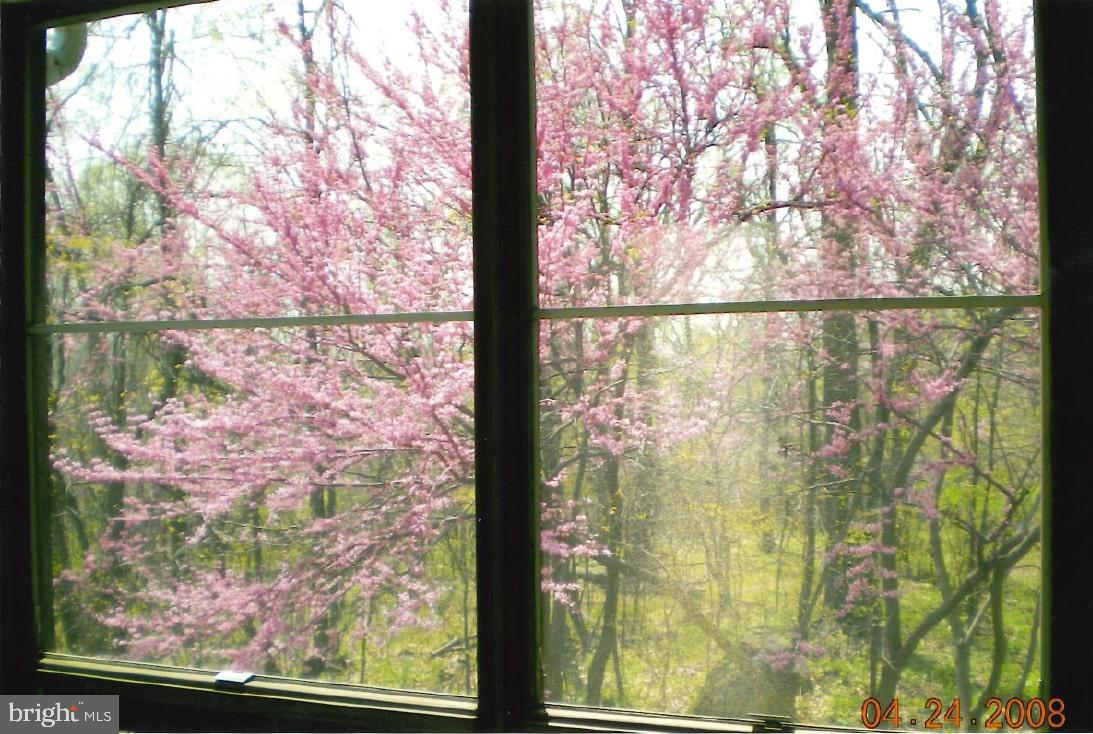 17914 Raven Rocks Road Round Hill, VA 20141 - Photo 36 of 40 Views from every window in house
