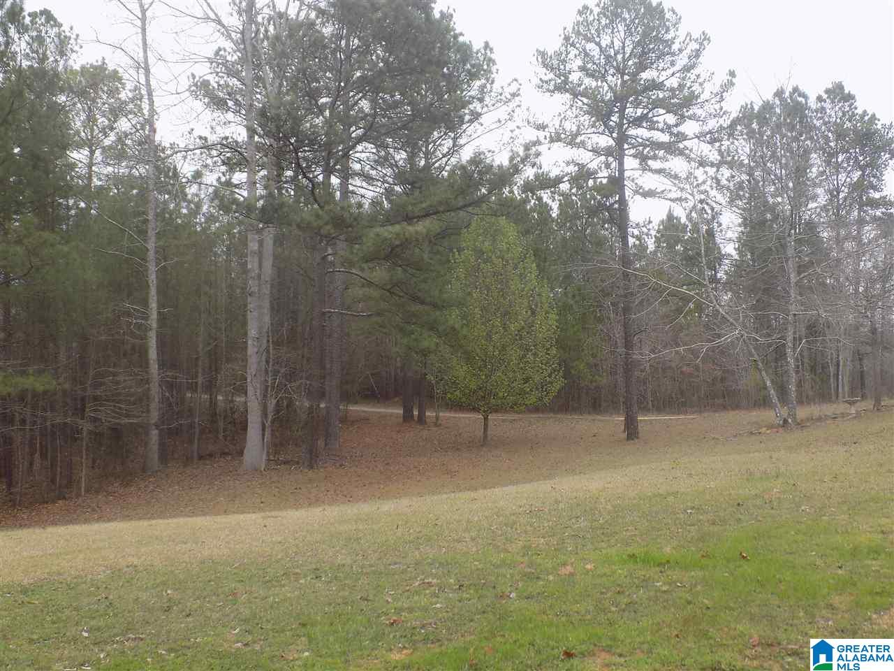 140 Risley Drive Odenville, AL 35120 - Photo 3 of 18