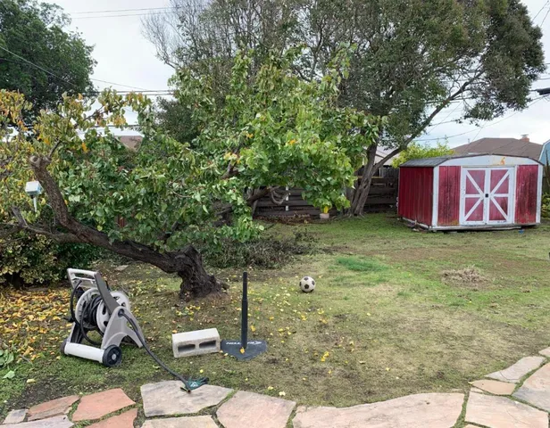 $4,500 | 1564 Hemlock Avenue, San Mateo, CA 94401