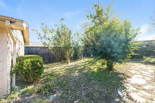a view of a backyard with plants and large trees