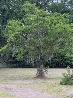 $115,000 | Lot 9 Parker Heights Road, Prairieville, LA 70769