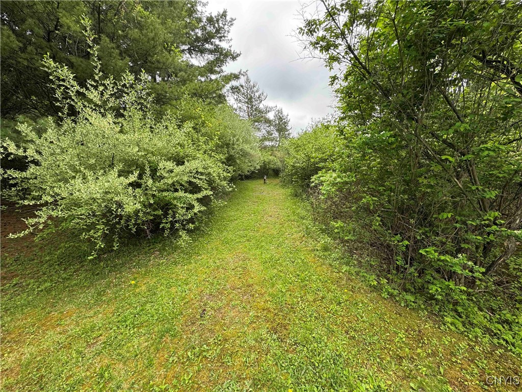 9682 Silsbee Road Wayne, NY 14840 - Photo 34 of 49