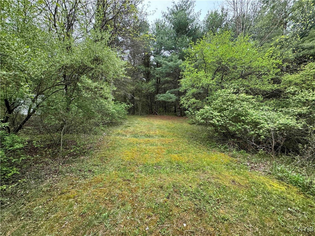 9682 Silsbee Road Wayne, NY 14840 - Photo 36 of 49