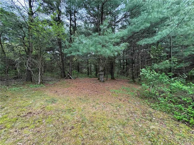 $172,900 | 9682 Silsbee Road, Wayne, NY 14840