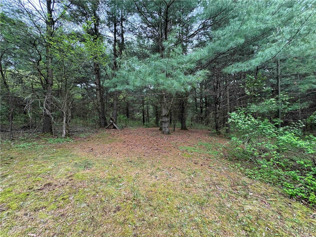 9682 Silsbee Road Wayne, NY 14840 - Photo 37 of 49