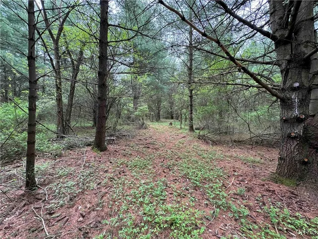 $172,900 | 9682 Silsbee Road, Wayne, NY 14840