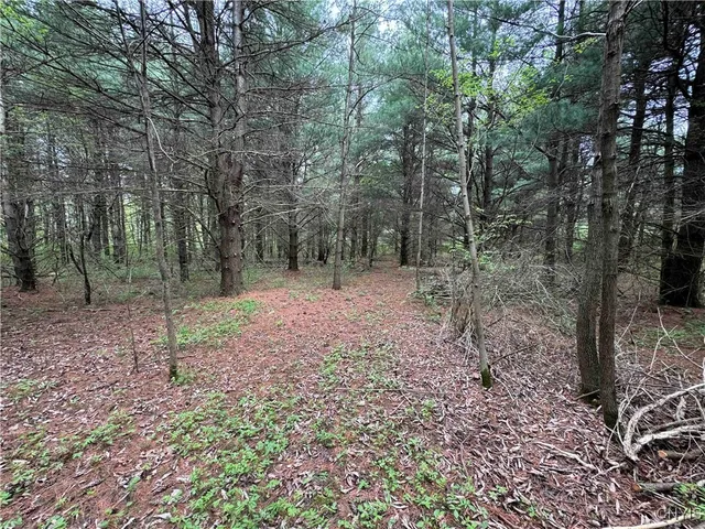 $172,900 | 9682 Silsbee Road, Wayne, NY 14840