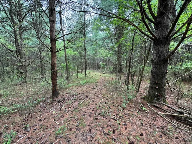 $172,900 | 9682 Silsbee Road, Wayne, NY 14840