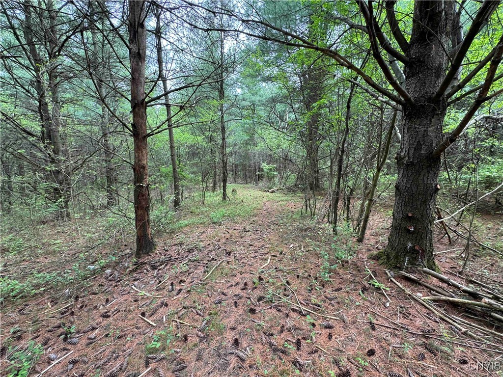 9682 Silsbee Road Wayne, NY 14840 - Photo 40 of 49