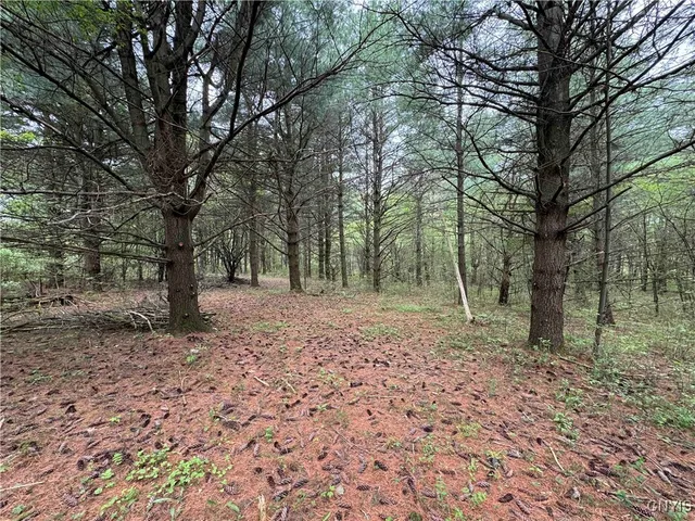 $172,900 | 9682 Silsbee Road, Wayne, NY 14840