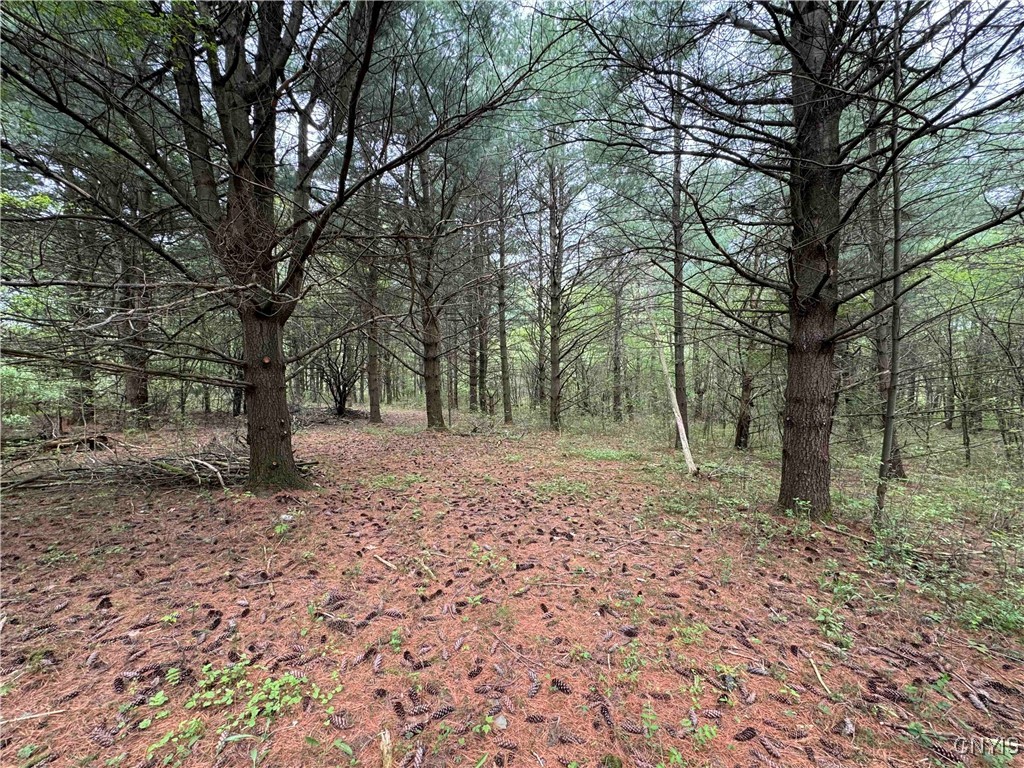 9682 Silsbee Road Wayne, NY 14840 - Photo 41 of 49