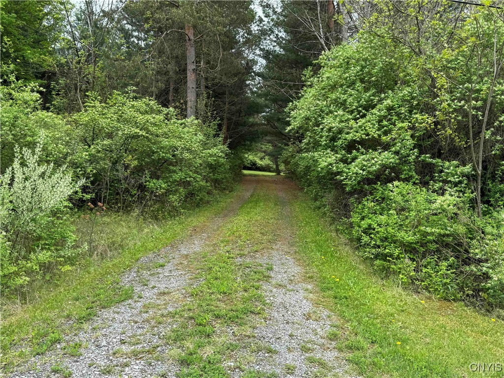 9682 Silsbee Road Wayne, NY 14840 - Photo 43 of 49