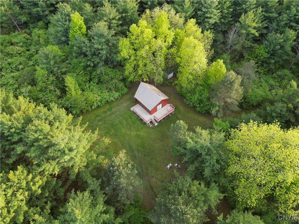 9682 Silsbee Road Wayne, NY 14840 - Photo 49 of 49