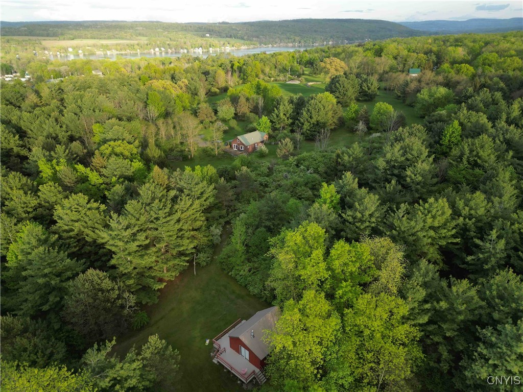 9682 Silsbee Road Wayne, NY 14840 - Photo 6 of 49