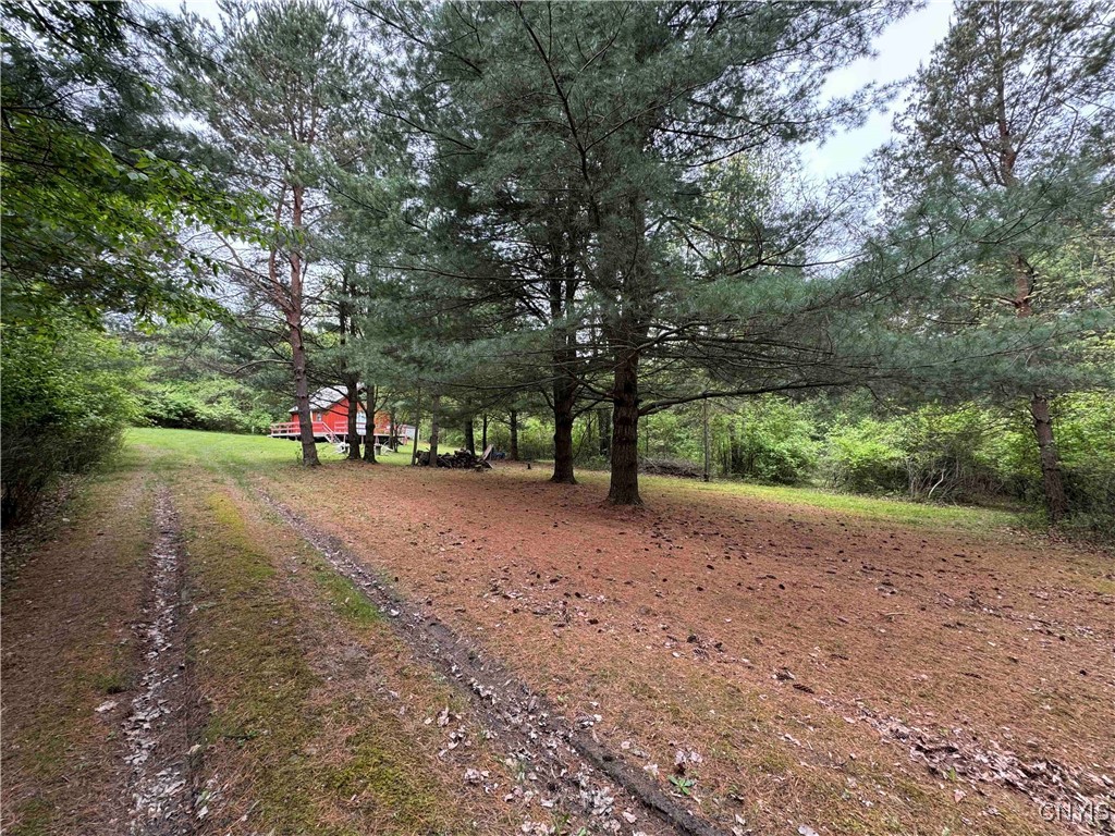 9682 Silsbee Road Wayne, NY 14840 - Photo 7 of 49