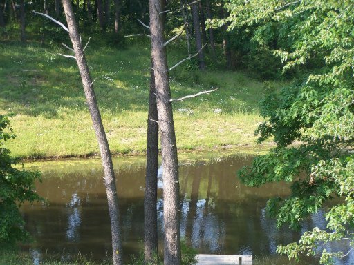 167 Lige Road Crossville, TN 38555 - Photo 21 of 40 Additional Photo