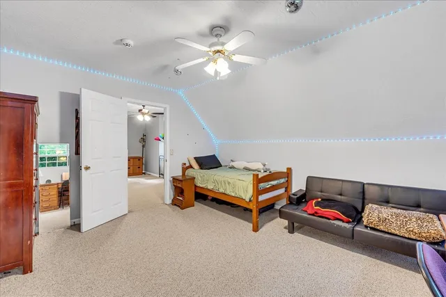 a view of a house with a yard and a large tree