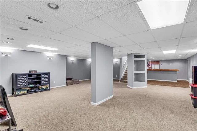 a view of a yard with plants and trees