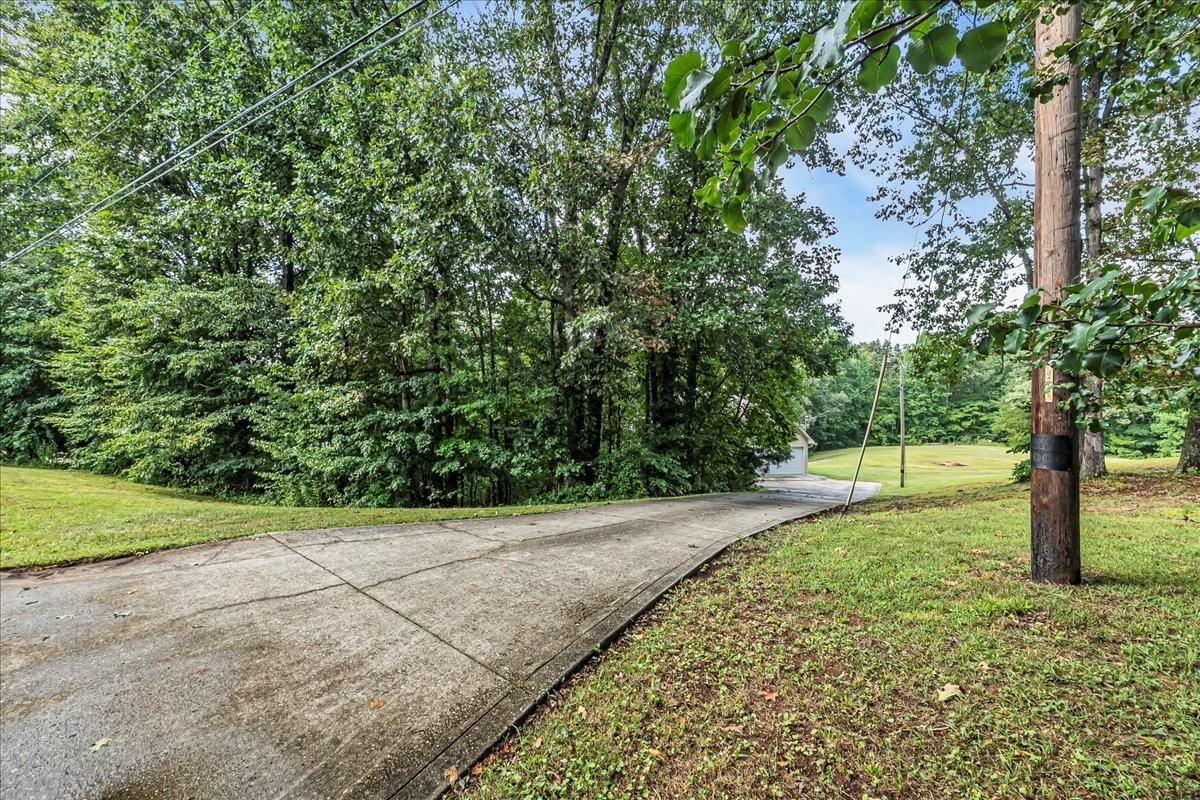 3955 River Road Baxter, TN 38544 - Photo 66 of 78 a view of a yard with plants and trees