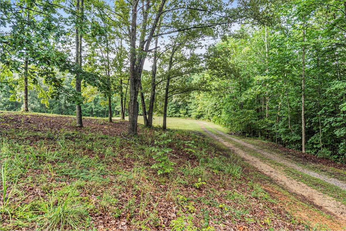 3955 River Road Baxter, TN 38544 - Photo 67 of 78 a view of outdoor space with deck and yard