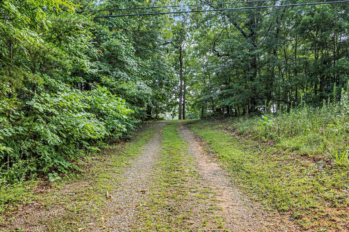 3955 River Road Baxter, TN 38544 - Photo 68 of 78