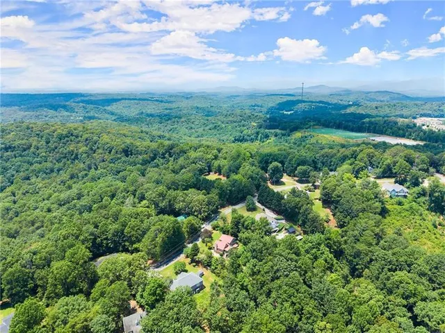a view of a bunch of plants and trees