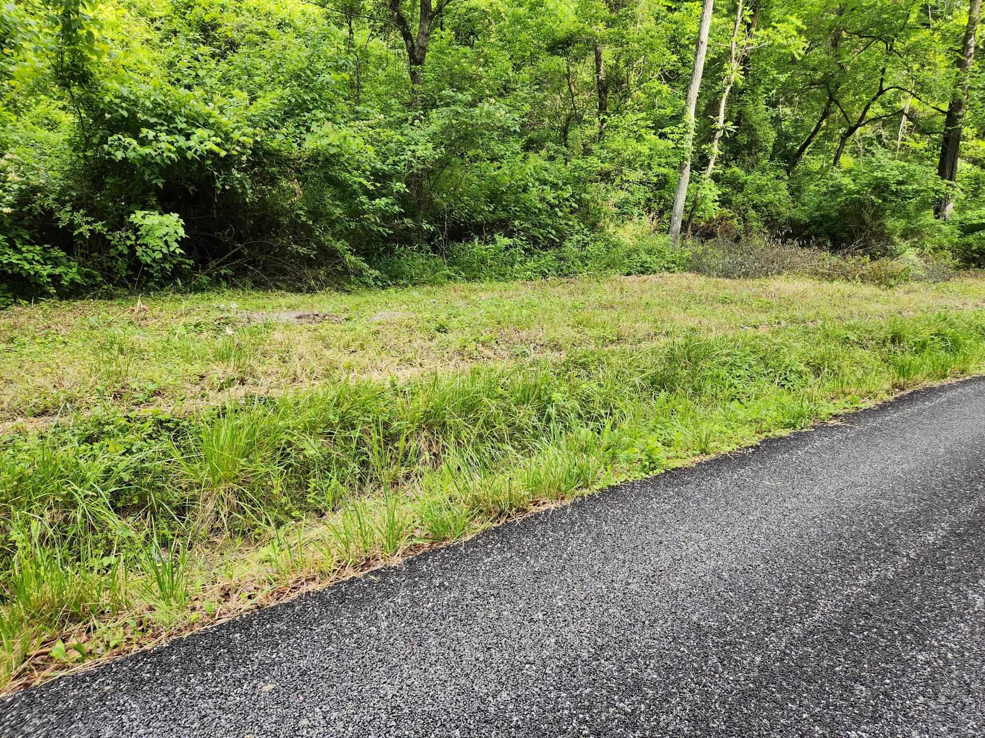 0 Clay Hollow Road Rush, KY 41168 - Photo 4 of 50 Gallery Image 4