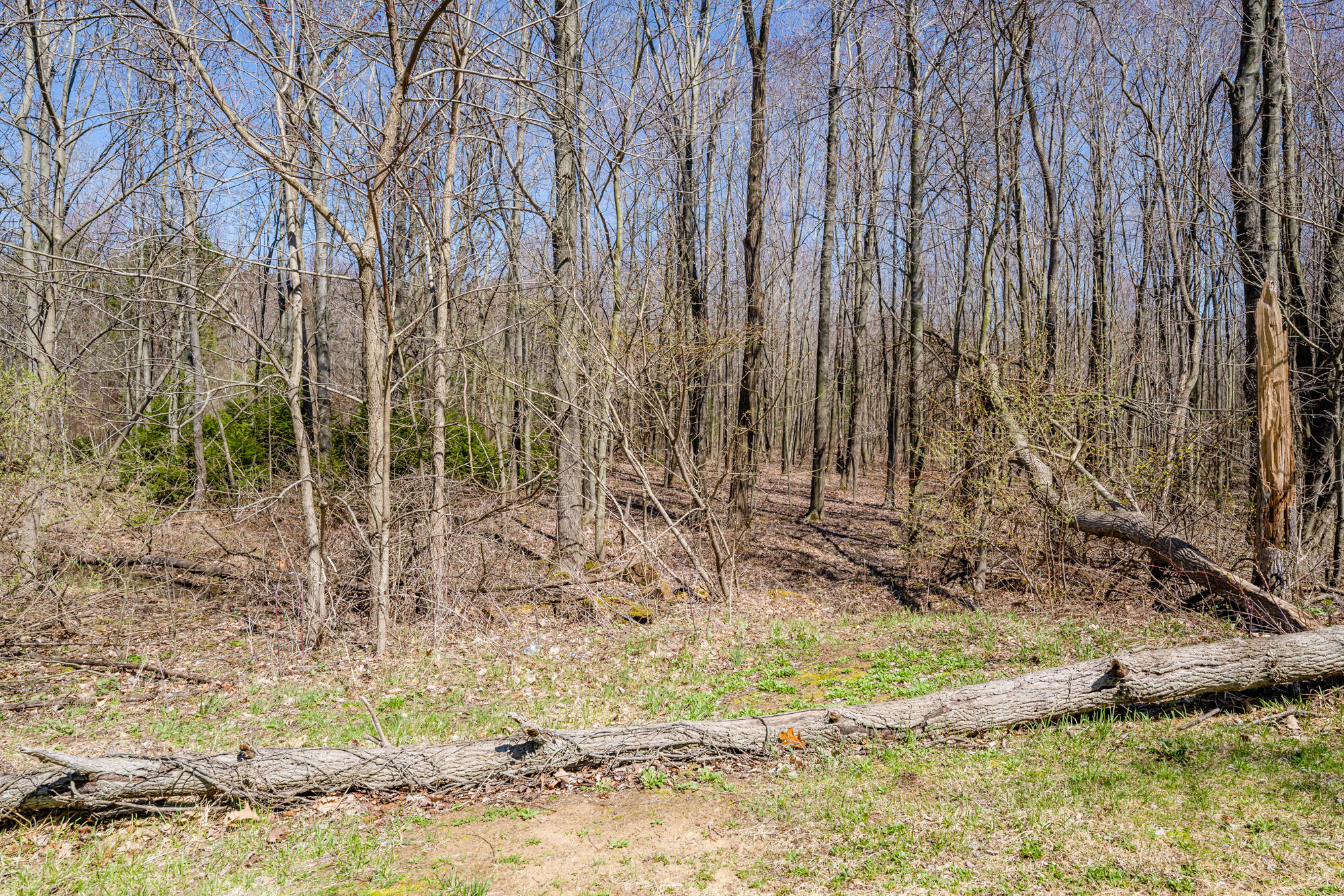 6171 Defield Road Coloma, MI 49038 - Photo 7 of 16 Defield-107