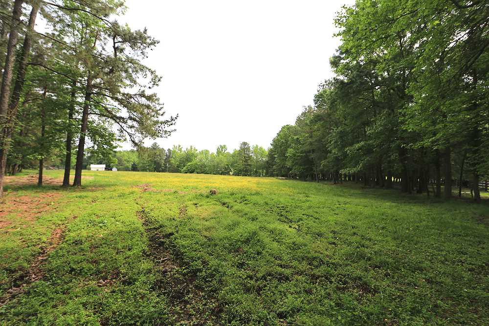 9808 Hampton Road Rougemont, NC 27572 - Photo 24 of 25 Photo 24
