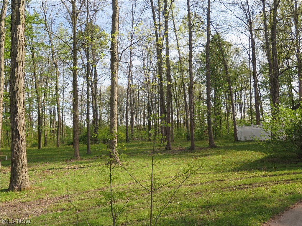 40500 Webster Road Lagrange, OH 44050 - Photo 8 of 10 Gallery Image 8