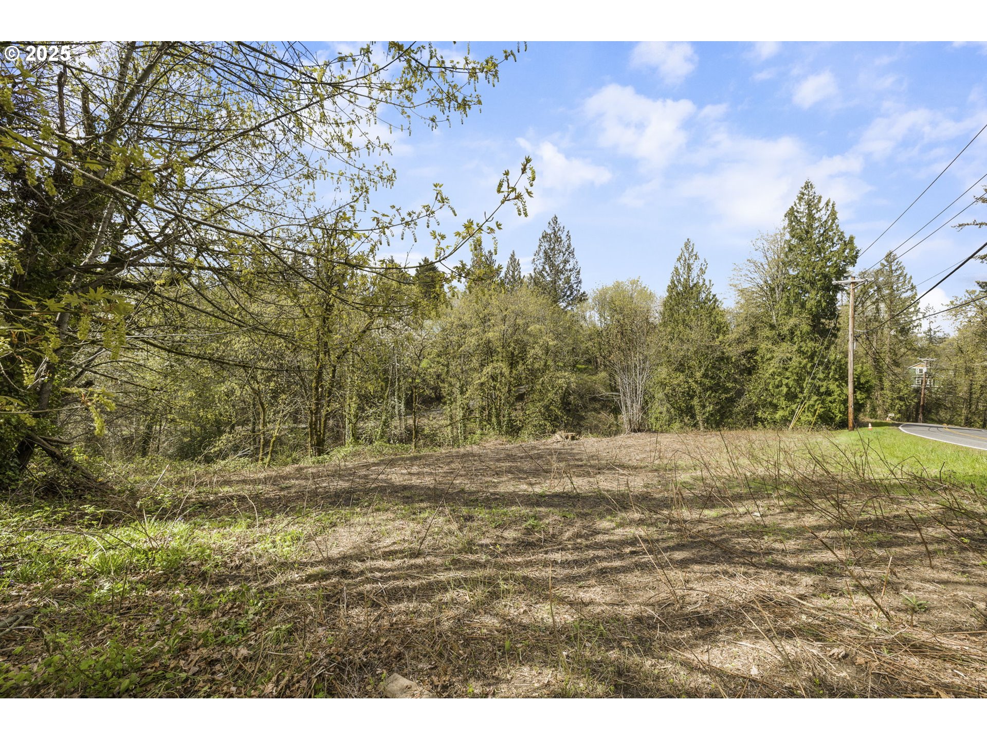 0 Northwest Laidlaw Road Portland, OR 97229 - Photo 5 of 13