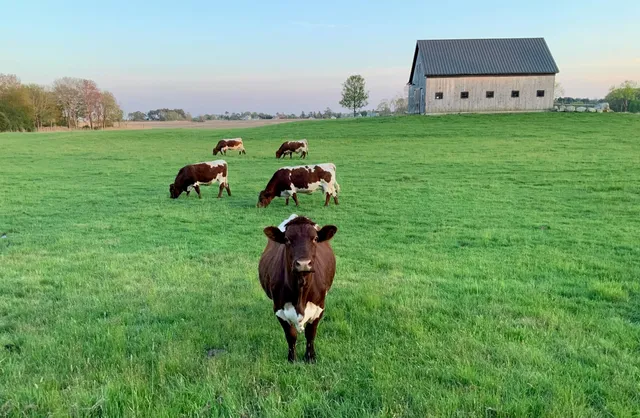 $4,250,000 | 54 Atlantic Avenue, North Hampton, NH 03862