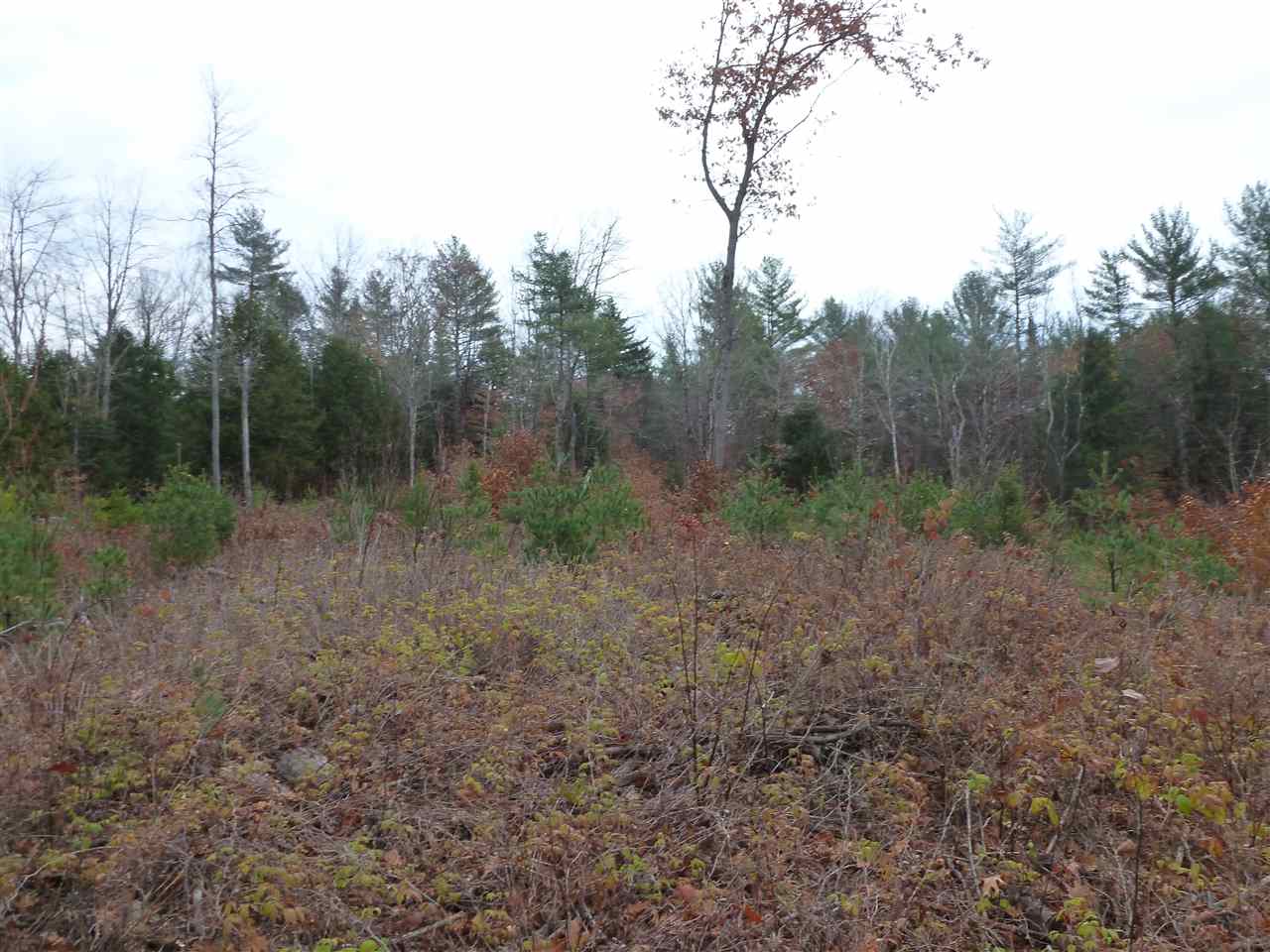 50 Nash Corner Road Gilsum, NH 03448 - Photo 4 of 6